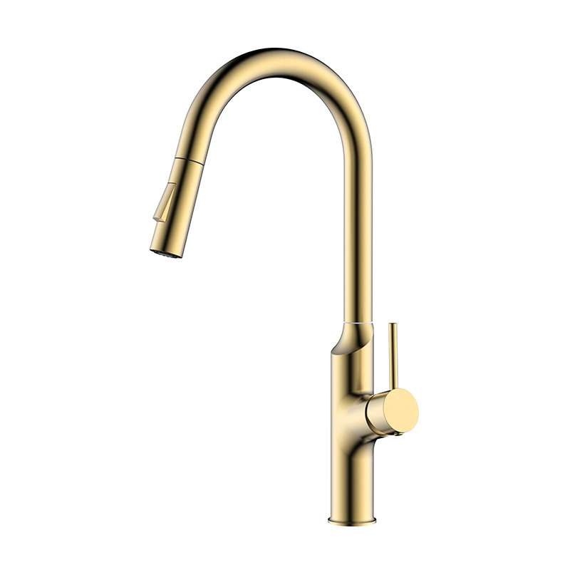 Grifo de cocina de oro de oro cepillado con pulverizador de extracción