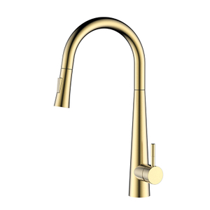 Grifo de cocina extraíble dorado con cepillo de acero inoxidable